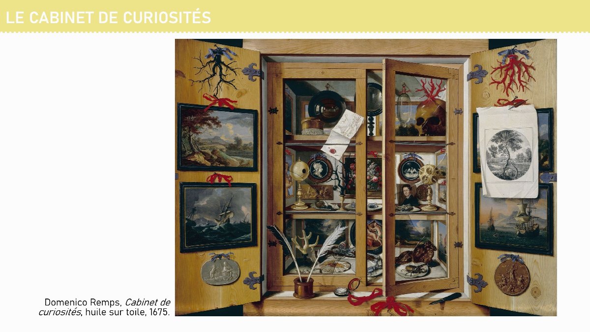 Diapositive 2 — LE CABINET DE CURIOSITÉS Domenico Remps, Cabinet de curiosités, huile sur toile, 1675.